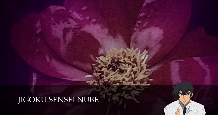 Превью Адский учитель Нубэ