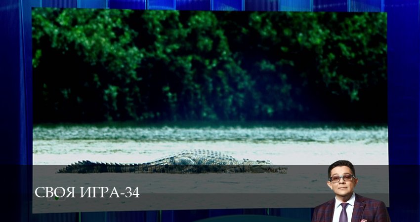 Превью Своя игра Svoya igra